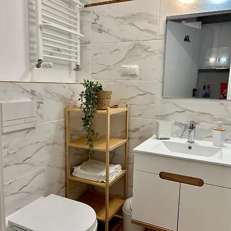 아파트 Pl. Wolnosci 6 포즈난